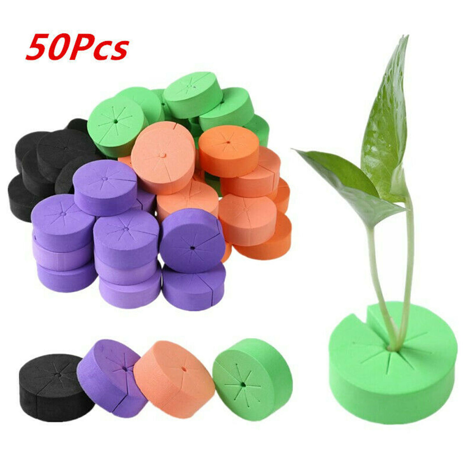 50 Pcs Neoprene Foam Inserts Garden Clone Collars for Hydroponics Cloning Plant