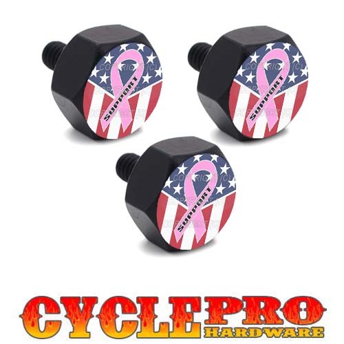 Black Billet Hex Windshield Bolt Kit For 93-13 Harley Touring - USA PINK RIBBON