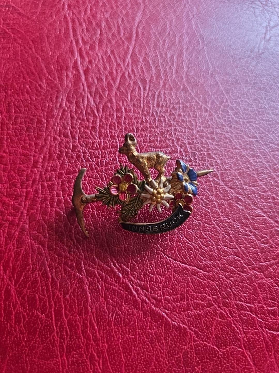 Vintage Pin Hatpin Hiking Pin Brooch Innsbruck