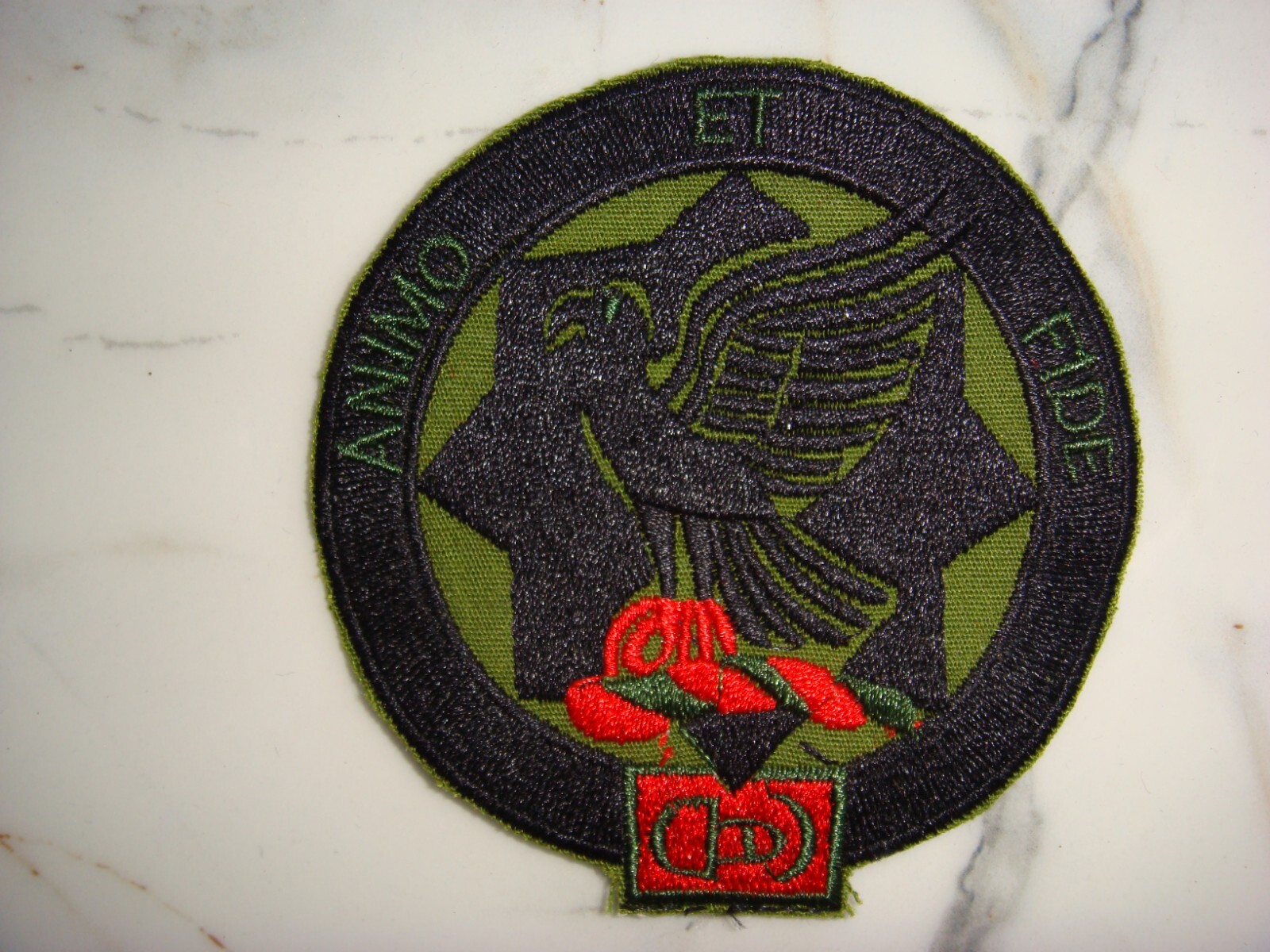 US 2nd SQUADRON -1st CAVALRY RGT BLACKHAWKS,  VIETNAM WAR SEMI-SUBDUED PATCH