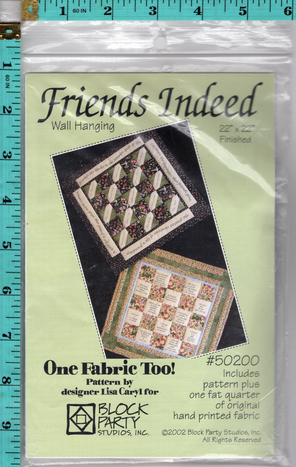 "Friends Indeed" ©2002 Block Party Studios/One Fabric Too Quilt Pattern 50200