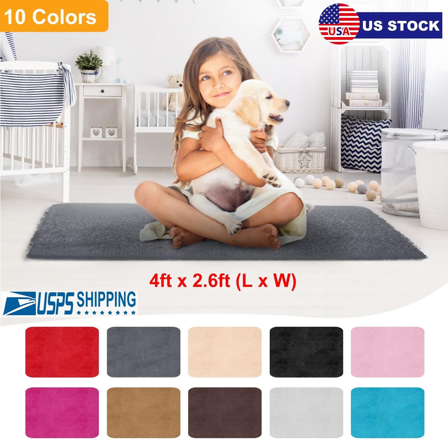 Fluffy Bedroom Rug 4’ x 2.6’ Anti-Skid Shaggy Area Rug Decorative Floor Carpet