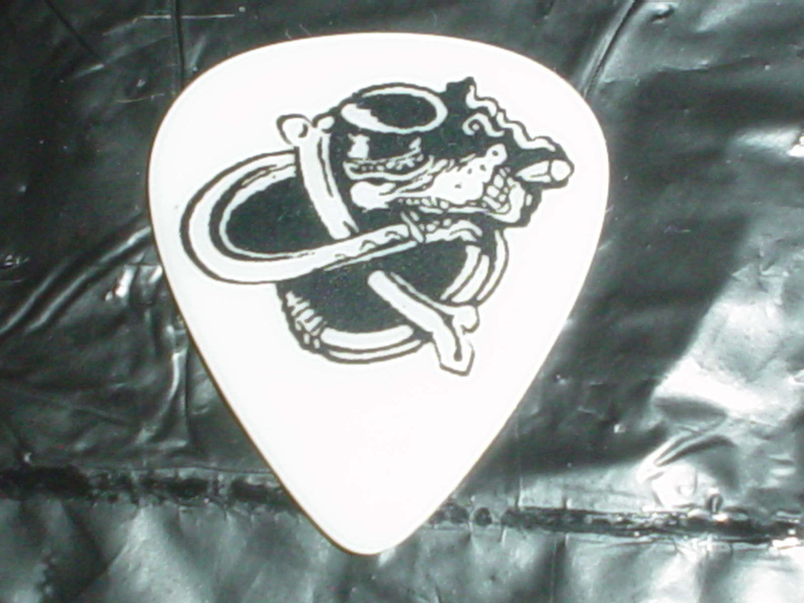 SLASH'S SNAKEPIT GUNS N' ROSES GNR Velvet Revolver Ain't Life Grand GUITAR PICK