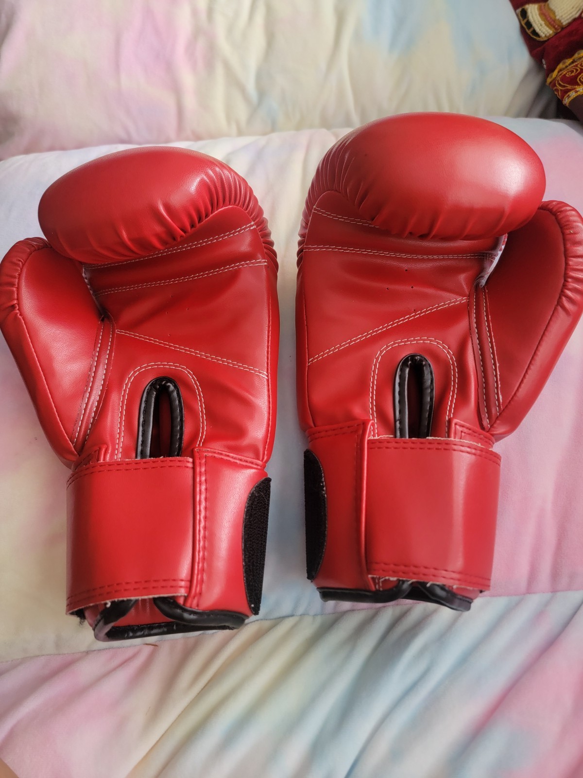 FBT 10 OZ Boxing Gloves
