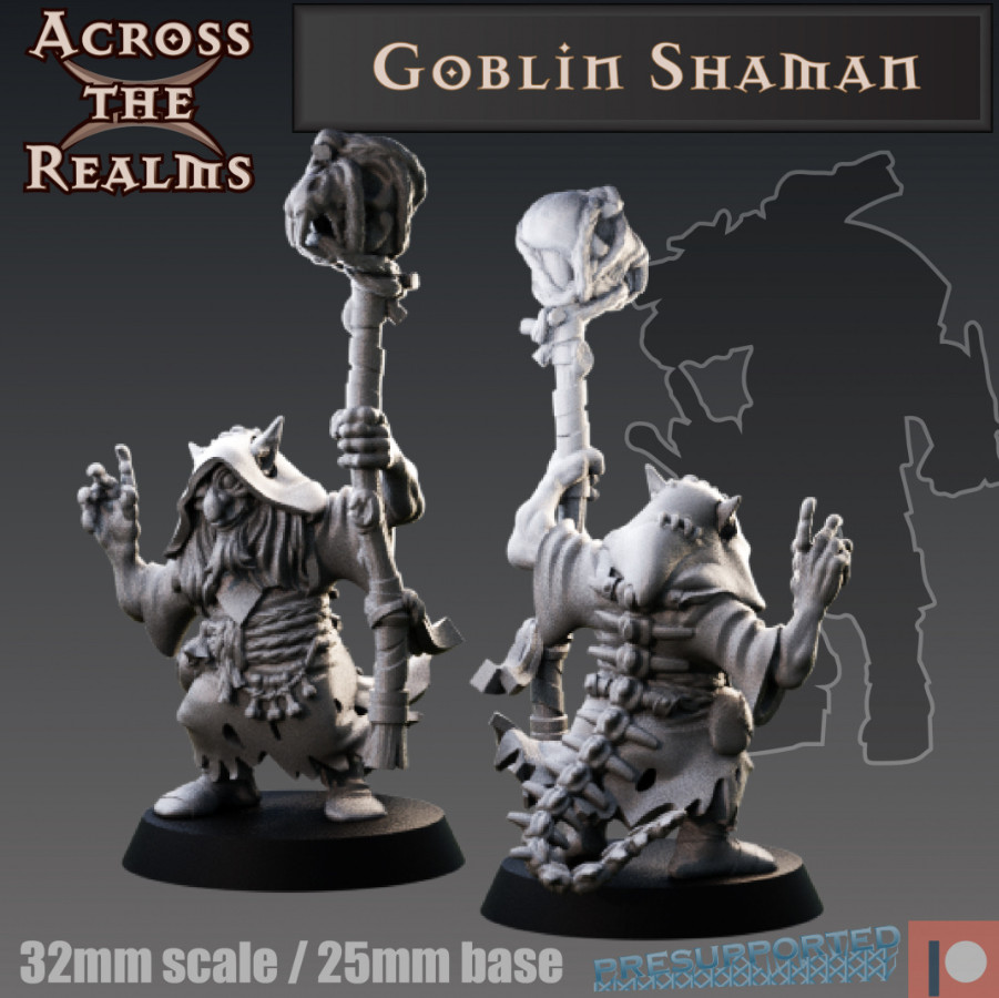 DnD Goblin Shaman