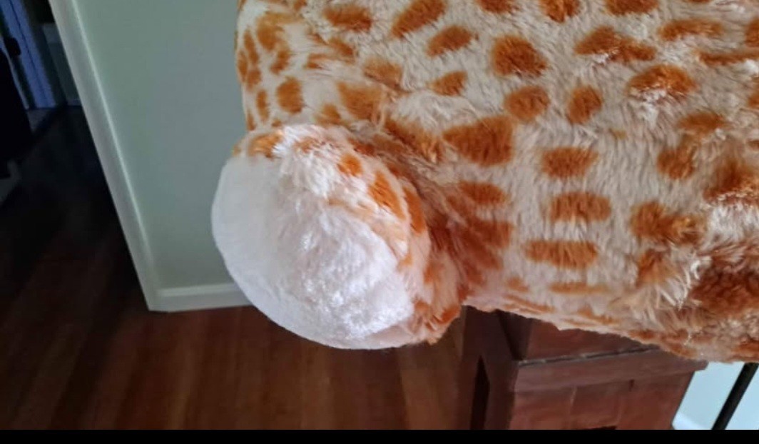New With Tags Hugfun Giraffe Chair