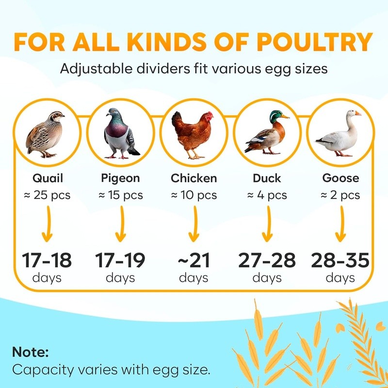 Automatic Egg Incubator Temperature Control Humidity Dual Bottles 12 Eggs New