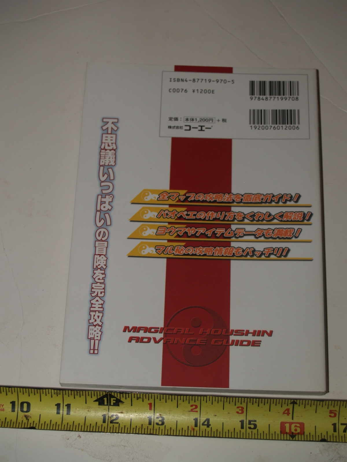 Magical Houshin Advanced Guide- in Japanese-9784877199708