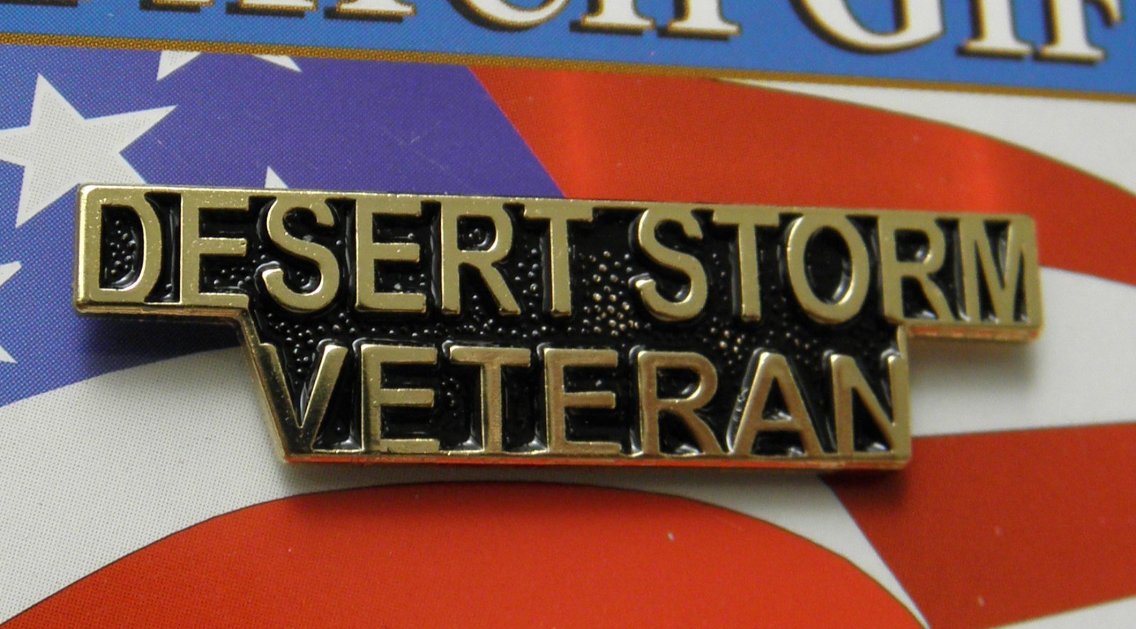 Desert Storm Veteran Vet United States Script Lapel Pin Badge 1.5 inches
