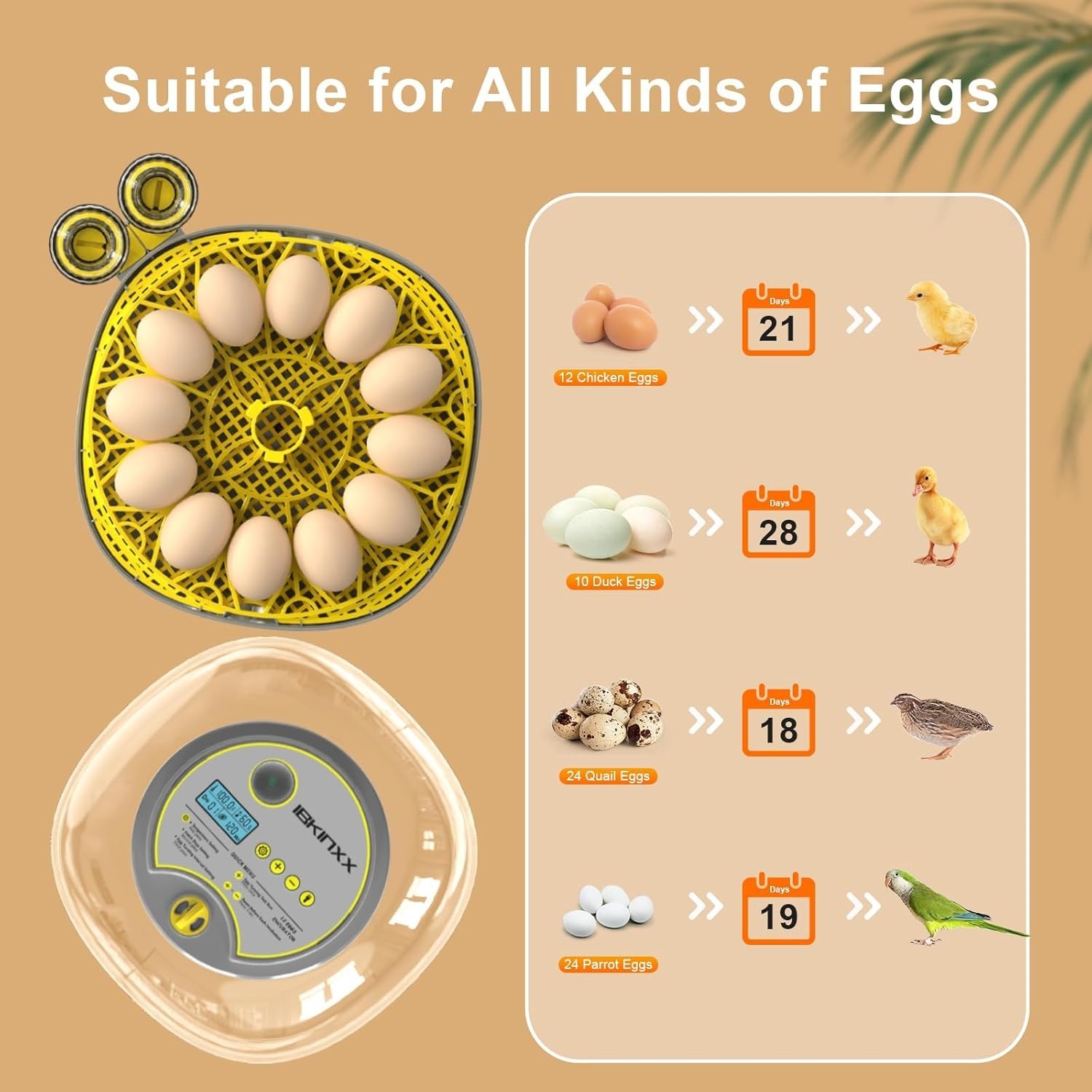 Upgraded Egg Incubator with Temperature & Humidity Control