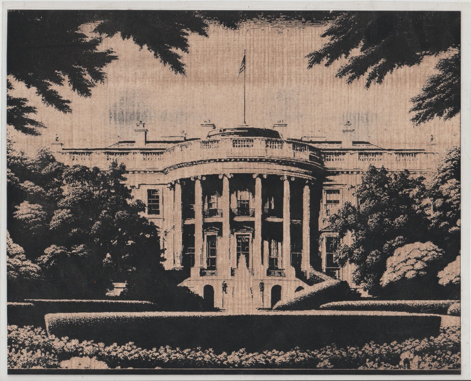 The White House  Scratchboard Art 8 x 10