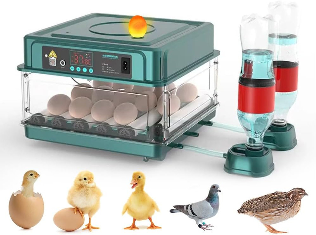 Automatic Egg Incubator 12-38 Egg Digital Poultry Hatcher Machine Ith Automatic