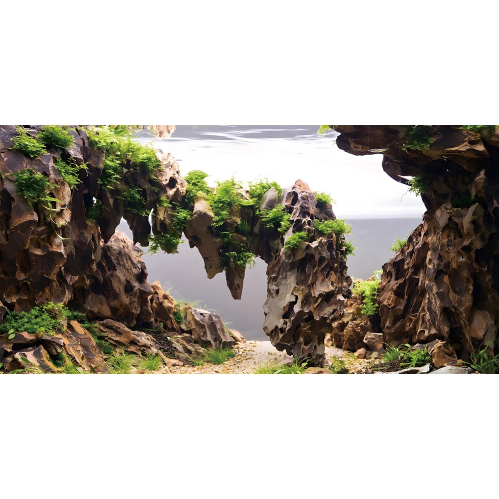 AWERT 30x18 inches Viewing Stone Fish Tank 30x18in/75x45cm, YG06050