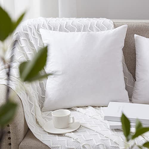 Down Feather Throw Pillow Inserts 20x20 Set of 2 20 x 20" 2 Count（Pack of 1）