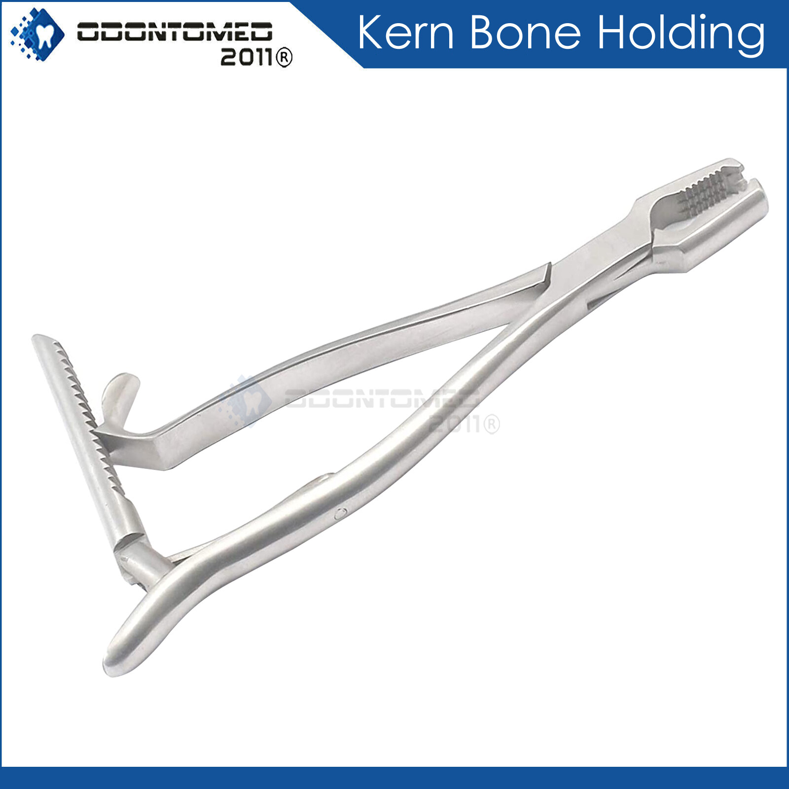 Kern Bone Holding Forceps Ratchet 6" Veterinary Instruments