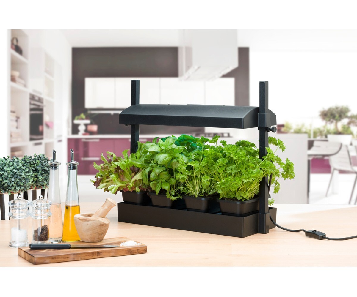 Sunblaster T5 Grow Light Garden, Black