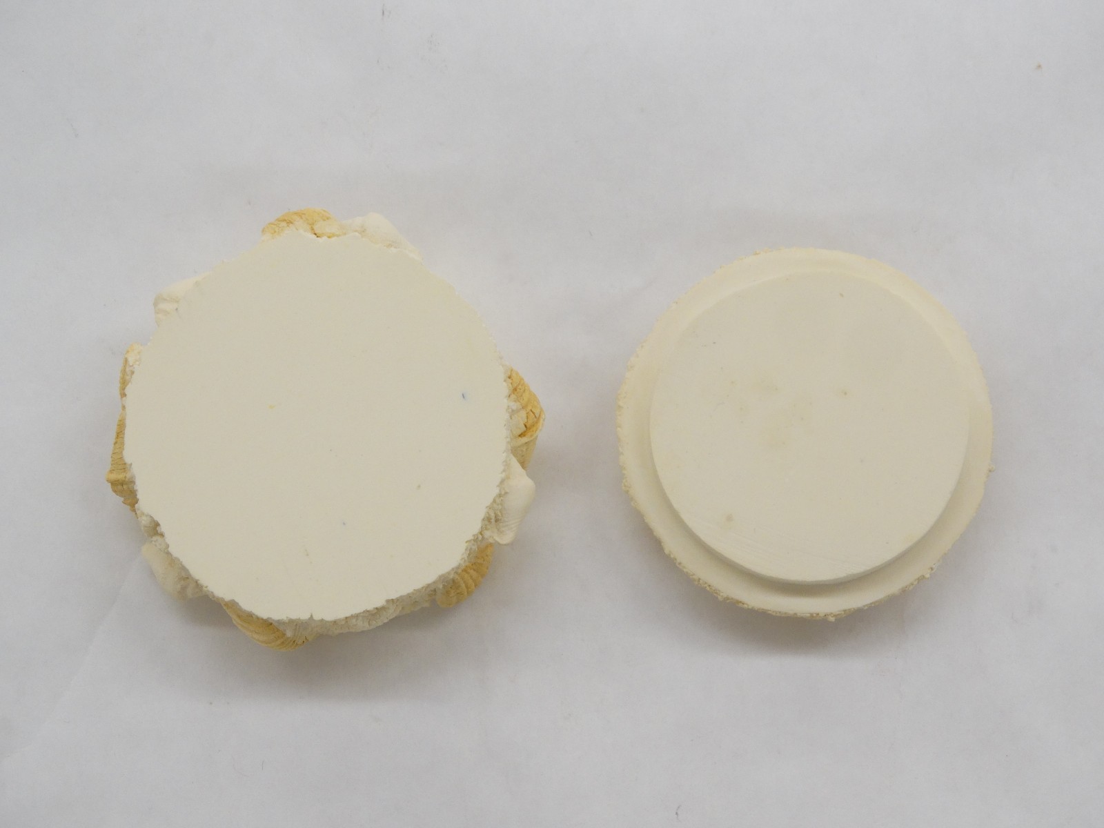 2 1/4" Diameter Composite Seashell Decorative Trinket Box