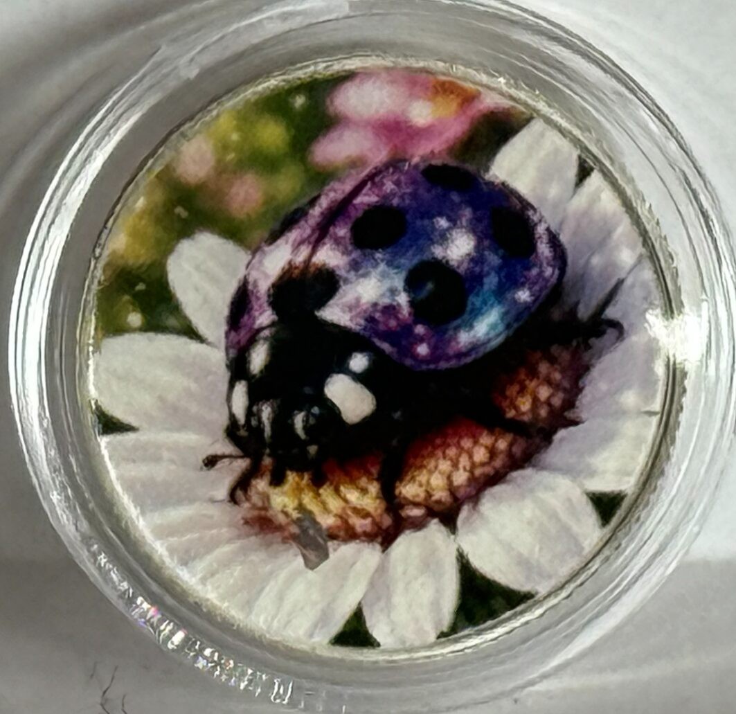 Hayleybug 1/10th oz Lucky Amethyst Ladybug Silver Round