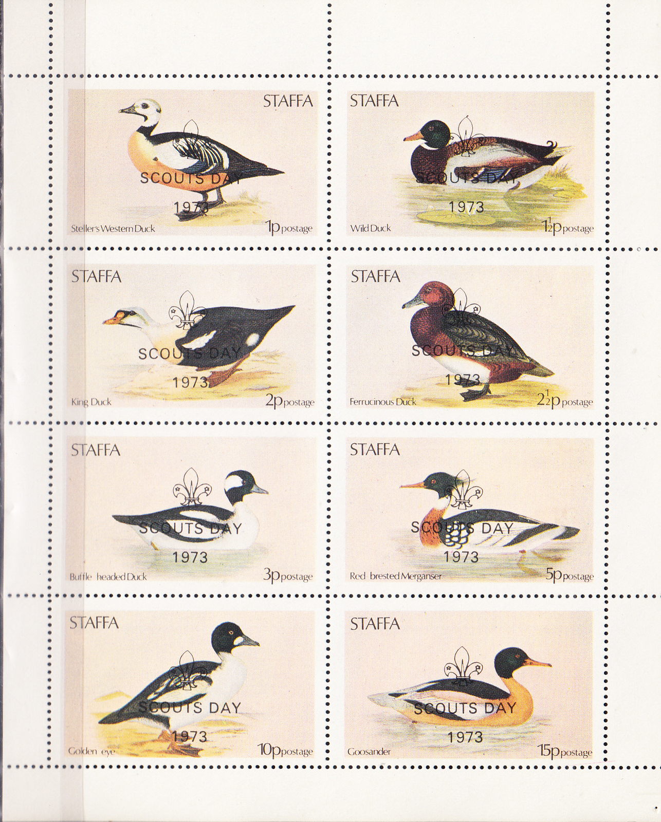 W STAFFA 003 DUCKS