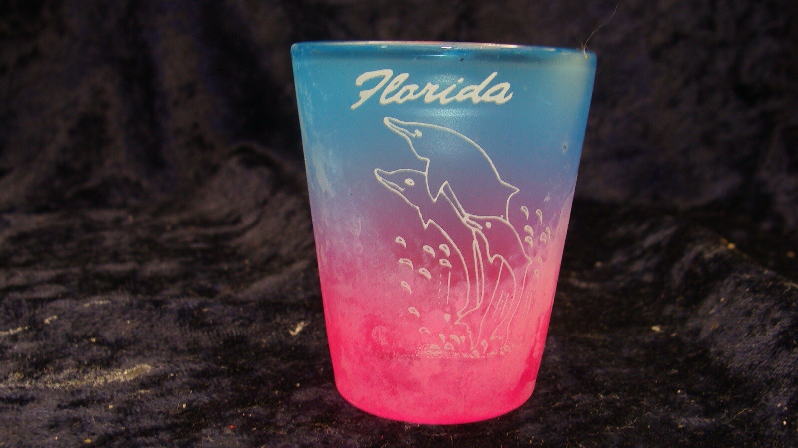 FLORIDA DOLPHINS SHOT GLASS ~ 2.25” ~ VGC ~