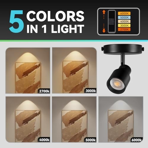 2-Pack Flush Mount LED Ceiling Spotlight Indoor, 10W Dimmable 2 Pack Black