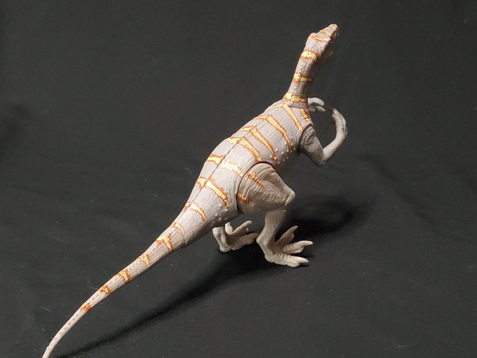 Australovenator Dinosaur 4.75" Educational Toy
