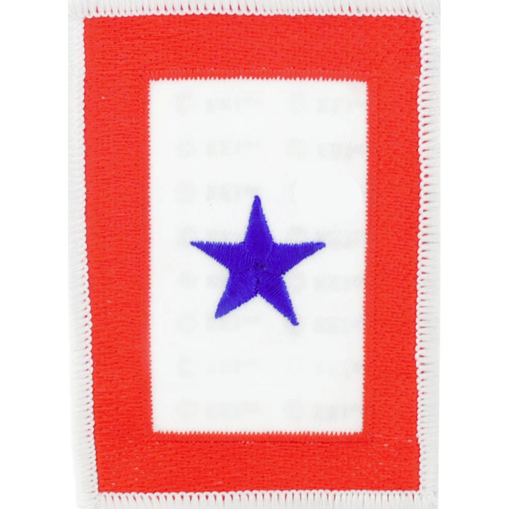 Blue Star Flag Family Member In Service patch.....Note Description