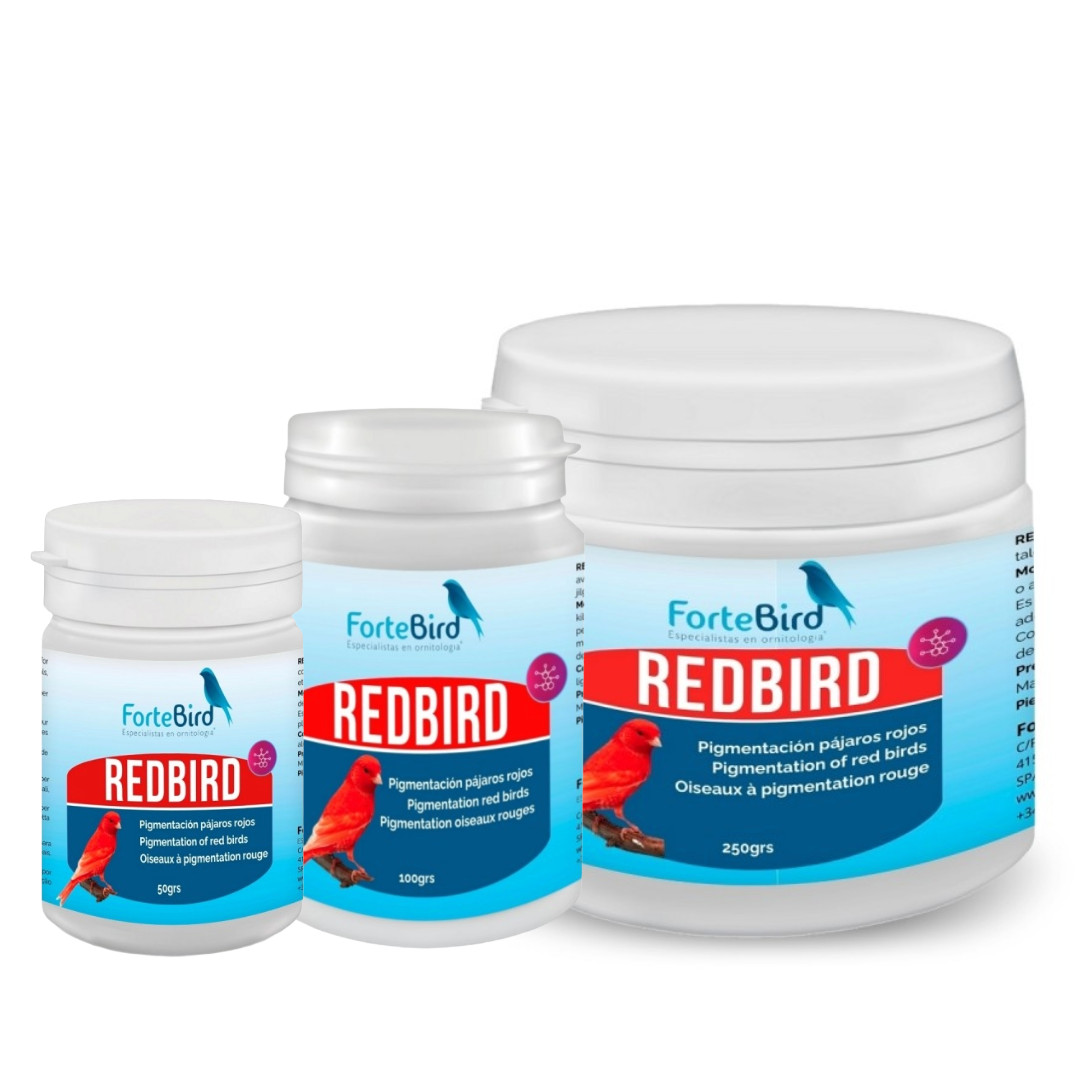 ForteBird RedBird