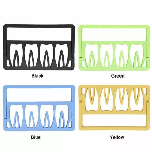 4 Colors Endodontic Dental Measuring Tool Root Canal Files Dispenser Box Case