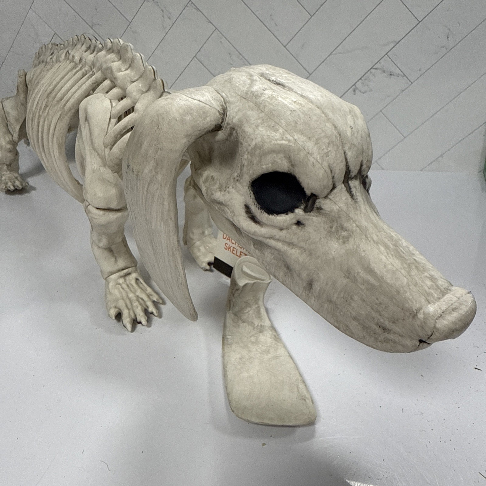 Dachshund Skeleton Halloween Dog 22” Long Indoor / Outdoor Figurine *DAMAGE/Read