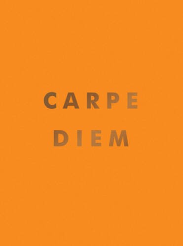 Carpe Diem: Inspirational Quotes and Awesome Affirmations For Sei - VERY GOOD