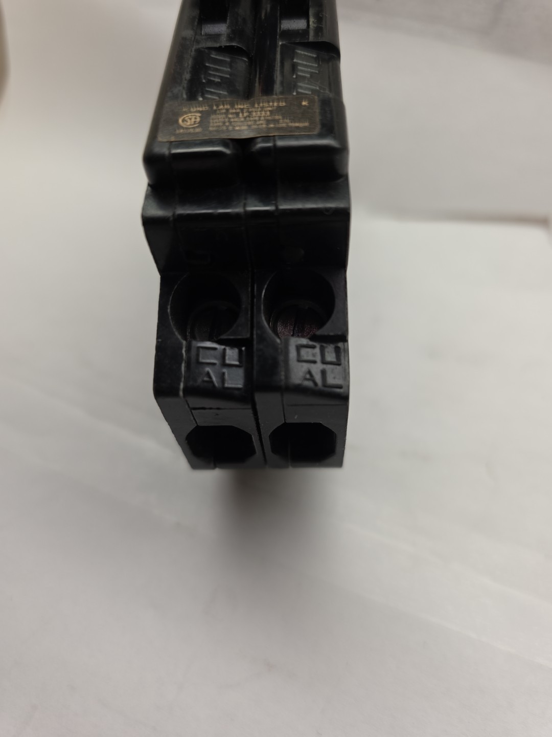 Challenger 2 Pole 30 Amp Breaker
