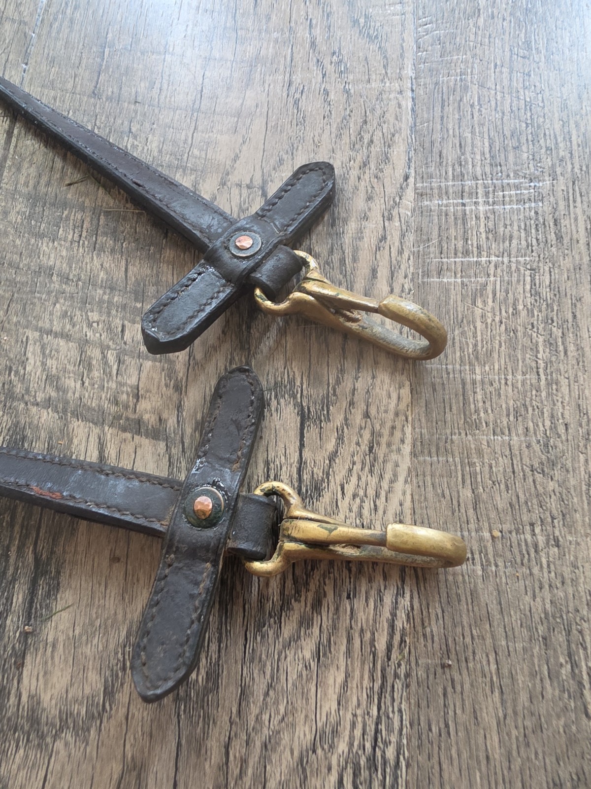 Riding Reins