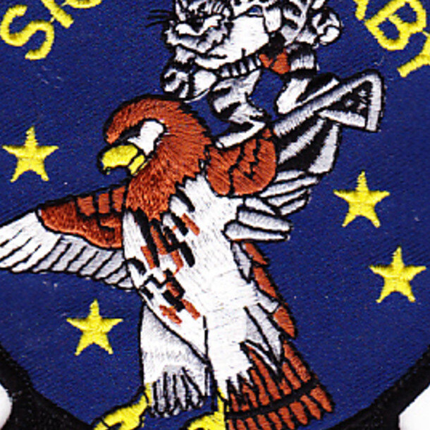 VAW-116 Patch Sic Em Baby Hawkeye