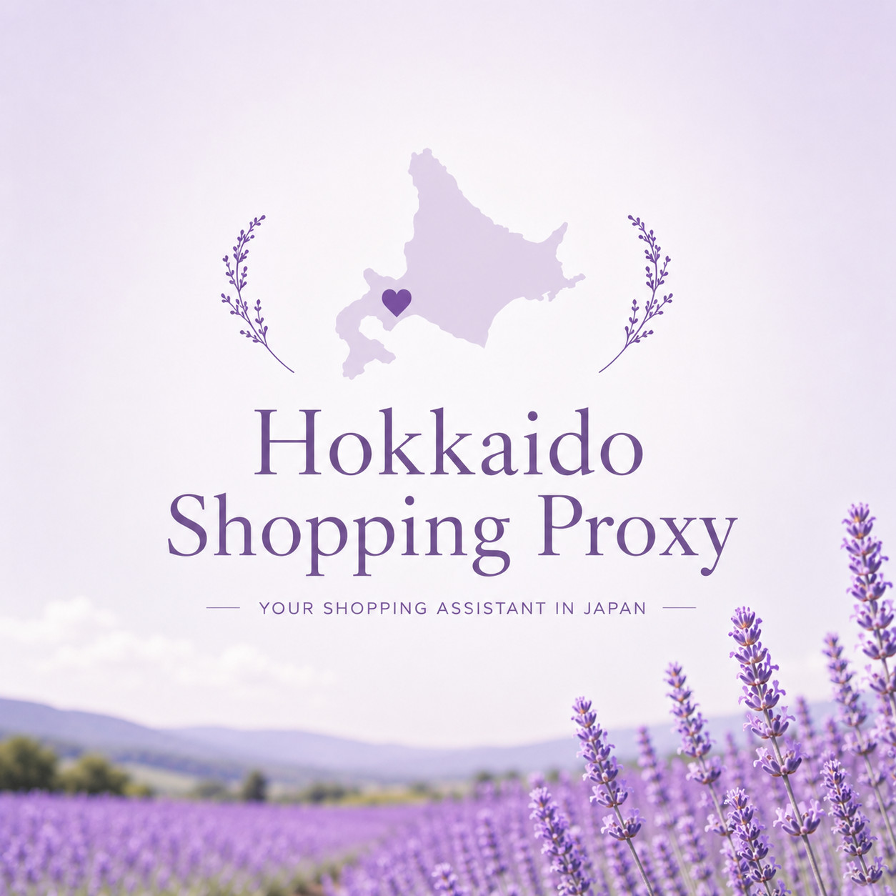 Japan Shopping Proxy Service Custom Order From Japan Hokkaido Personal Buyer