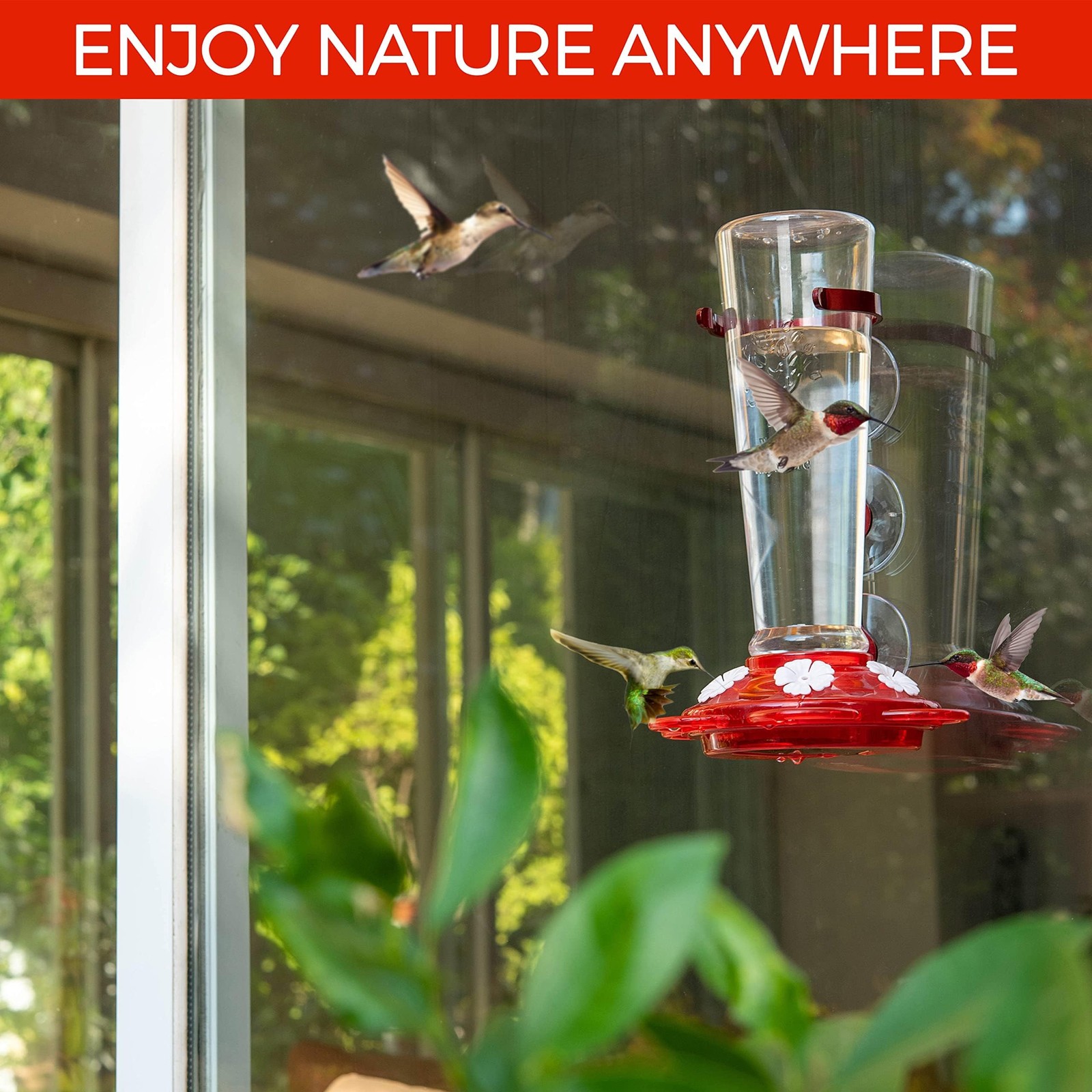 Large Leak Proof Window Hummingbird Feeders for 1 Pack, Read and Crystal