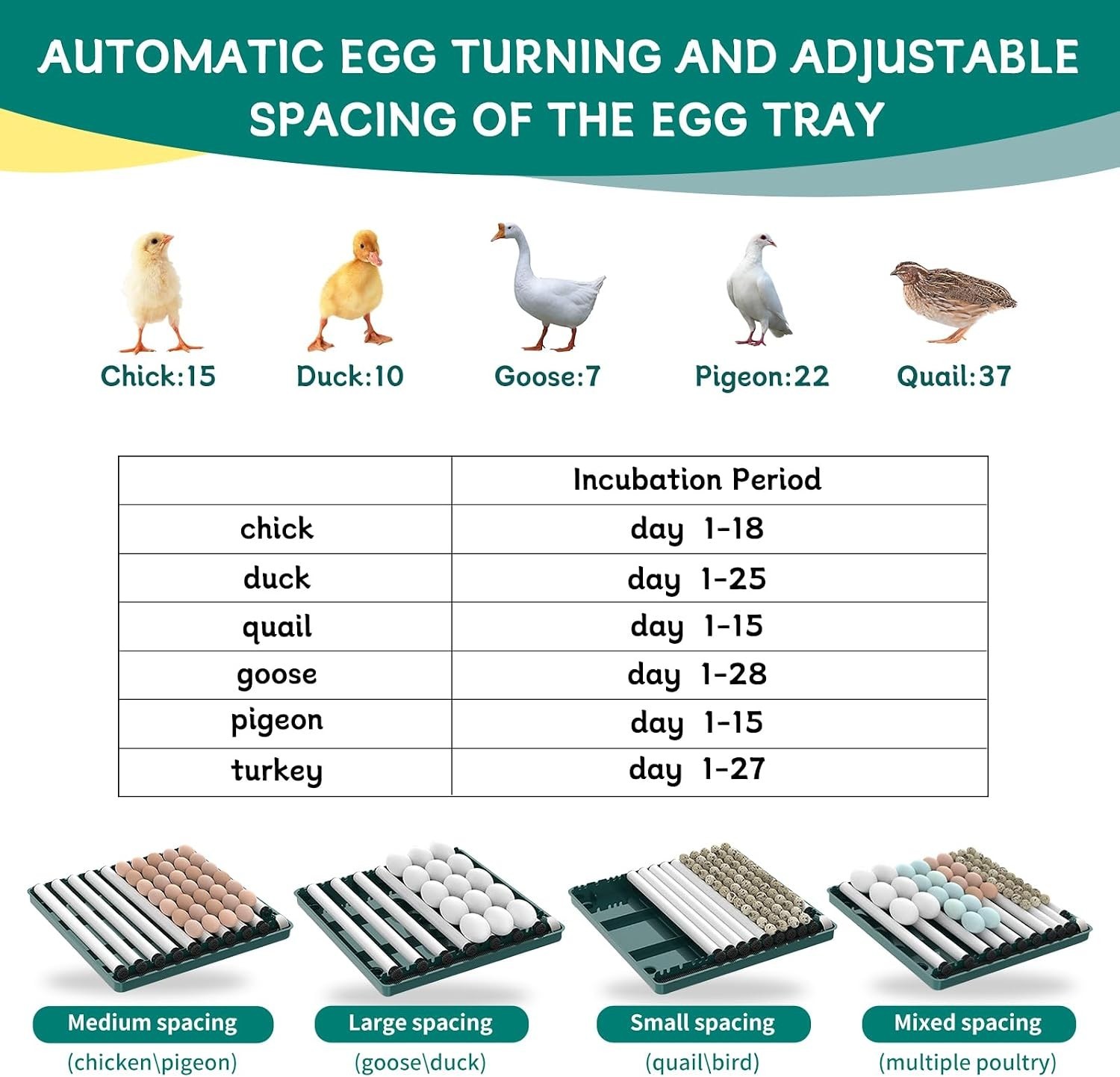 Intelligent Poultry Incubator - 38 Eggs, Automatic Turner & Temperature Control
