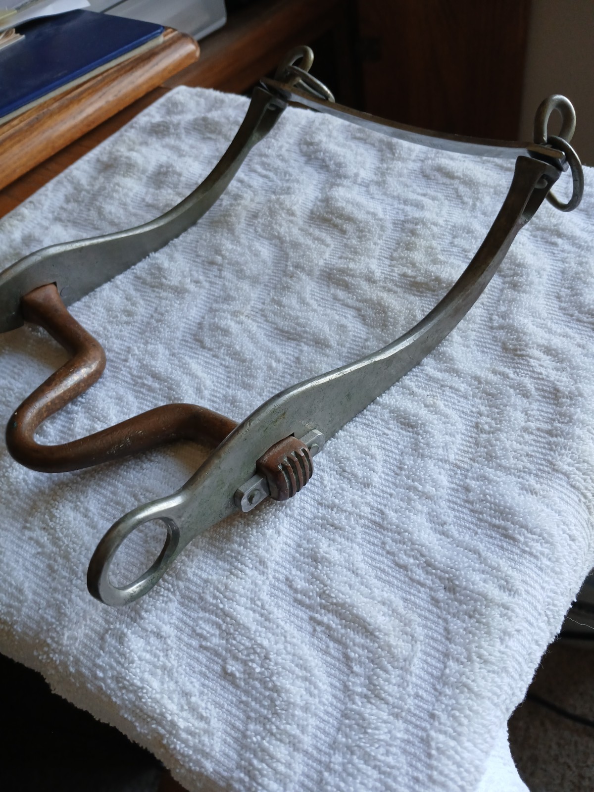 Sleister horse bit