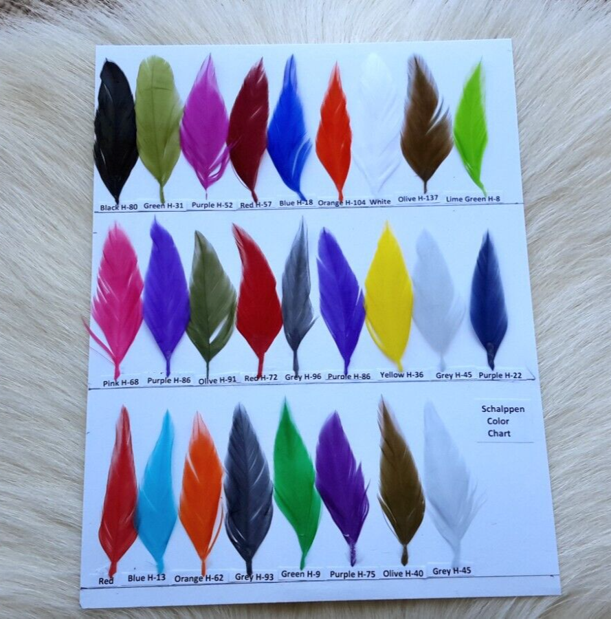 Saddle Hackle.. (Feather.) (24) large Pack.. assorted Colors.. Free Shipping.