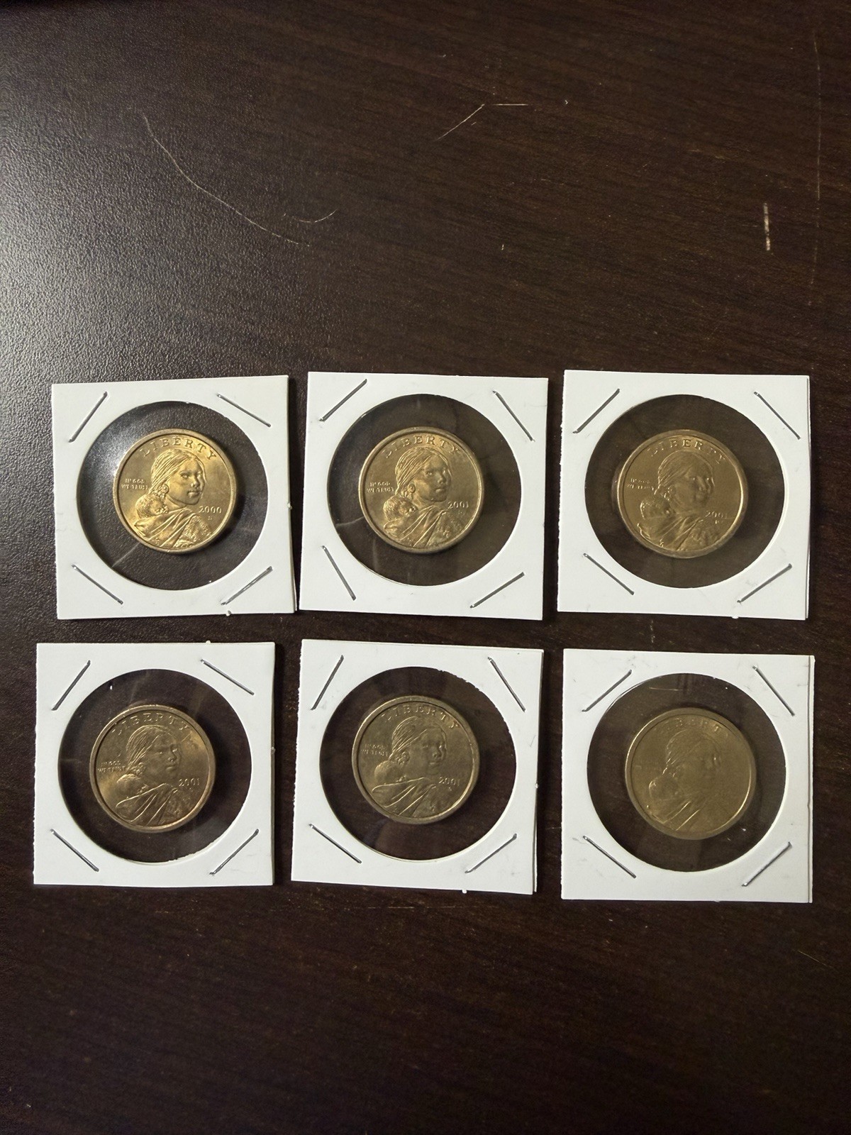 One Dollar Coin Sacagawea Lot