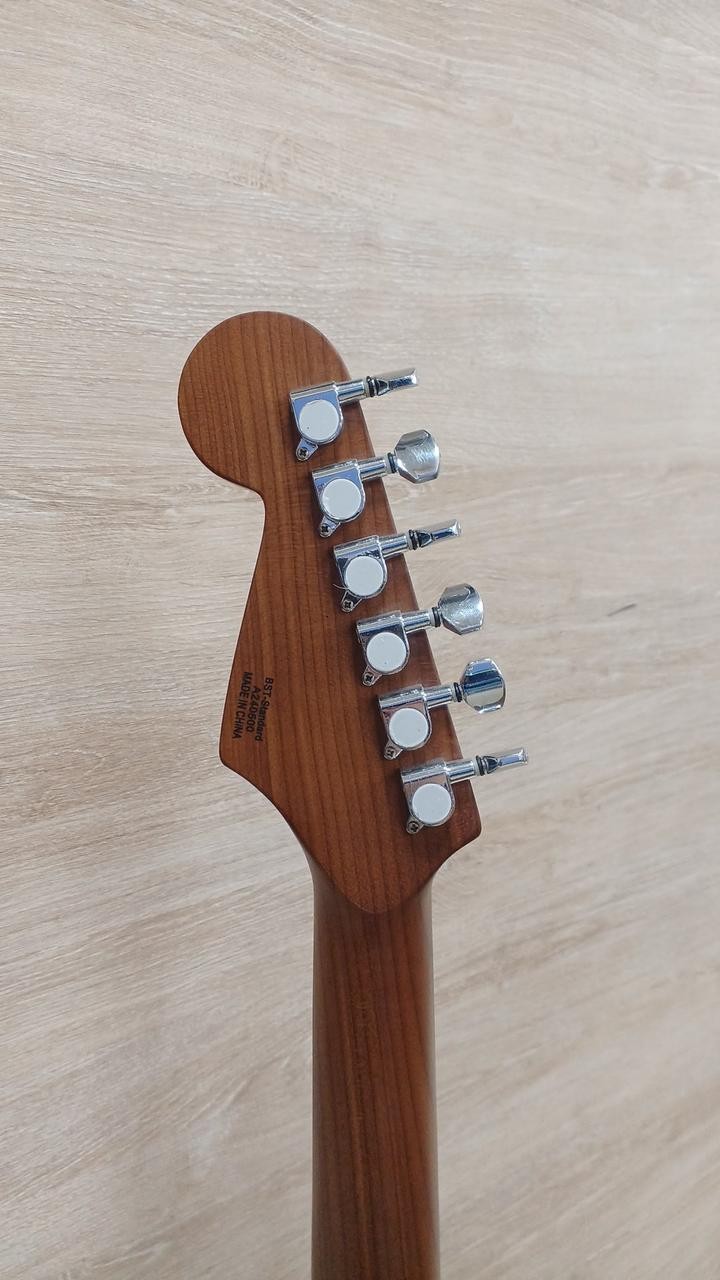 BUSKER'S BST-STADARD Electric Guitar