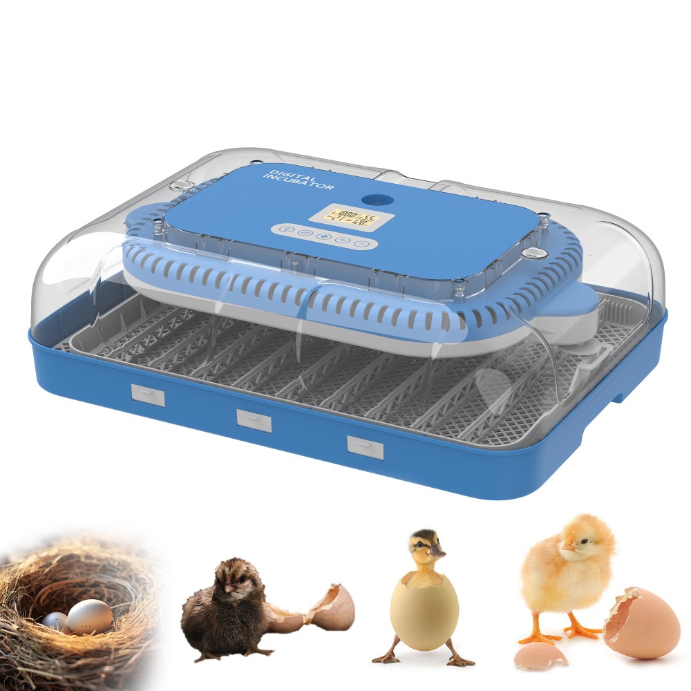 70 Egg Incubator w/ Automatic Turning & Humidity Control for Farm School Lab Use