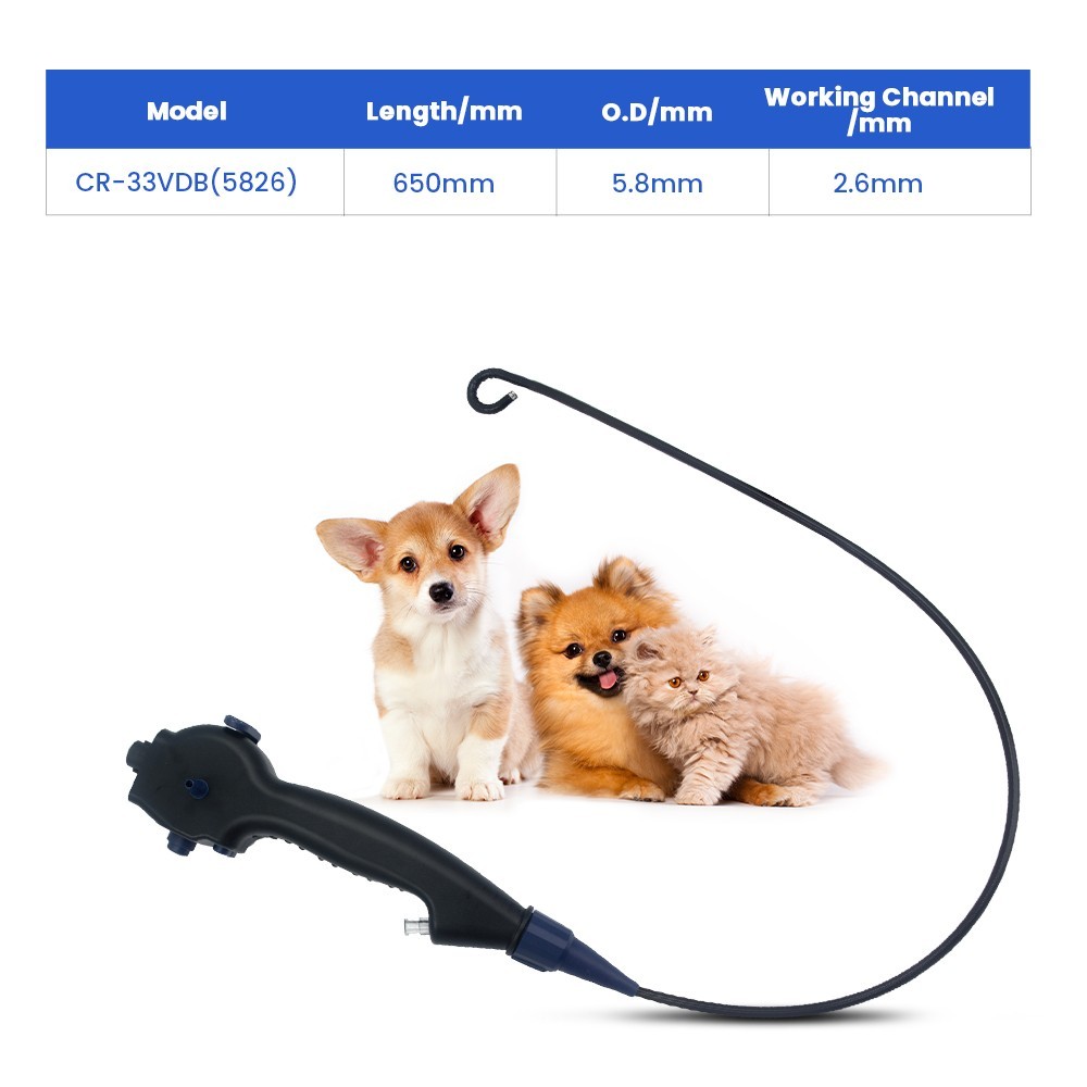 Portable Veterinary Flexible Endoscope, 25.59in Working Length for Small Animals