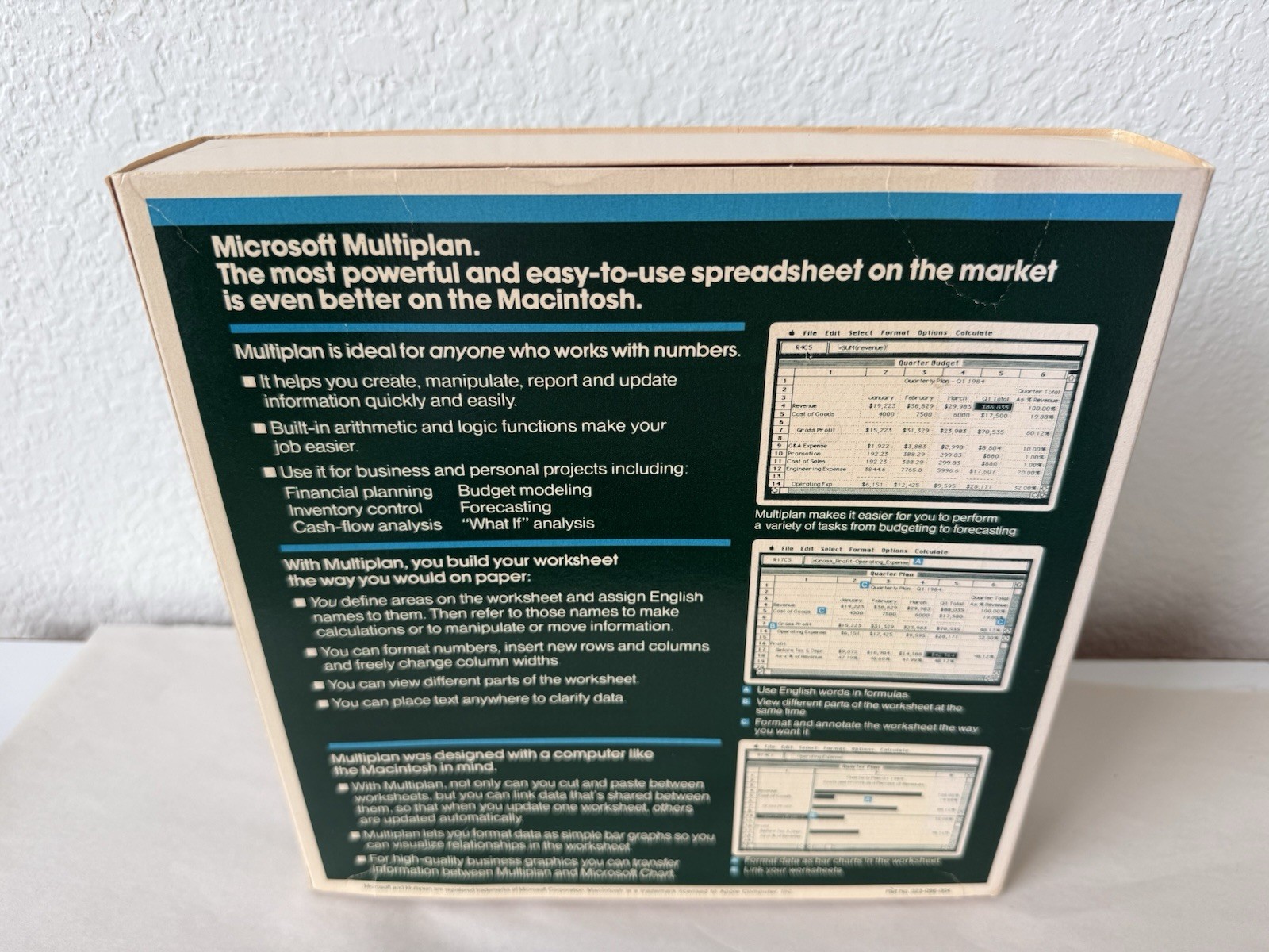 Microsoft MULTIPLAN Electronic Spreadsheet Program Apple Macintosh No Floppy