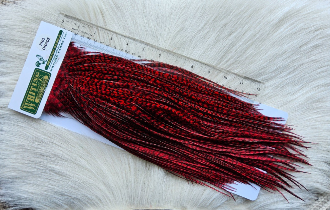Whiting Saddle Hackle. Full Saddle,, Color; Grizzly Dyed Red. Free Shipping.
