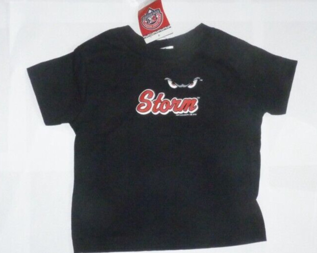 NEW MiLB Lake Elsinore Storm  Baseball T Shirt 3T Toddler NEW NWT 7U68