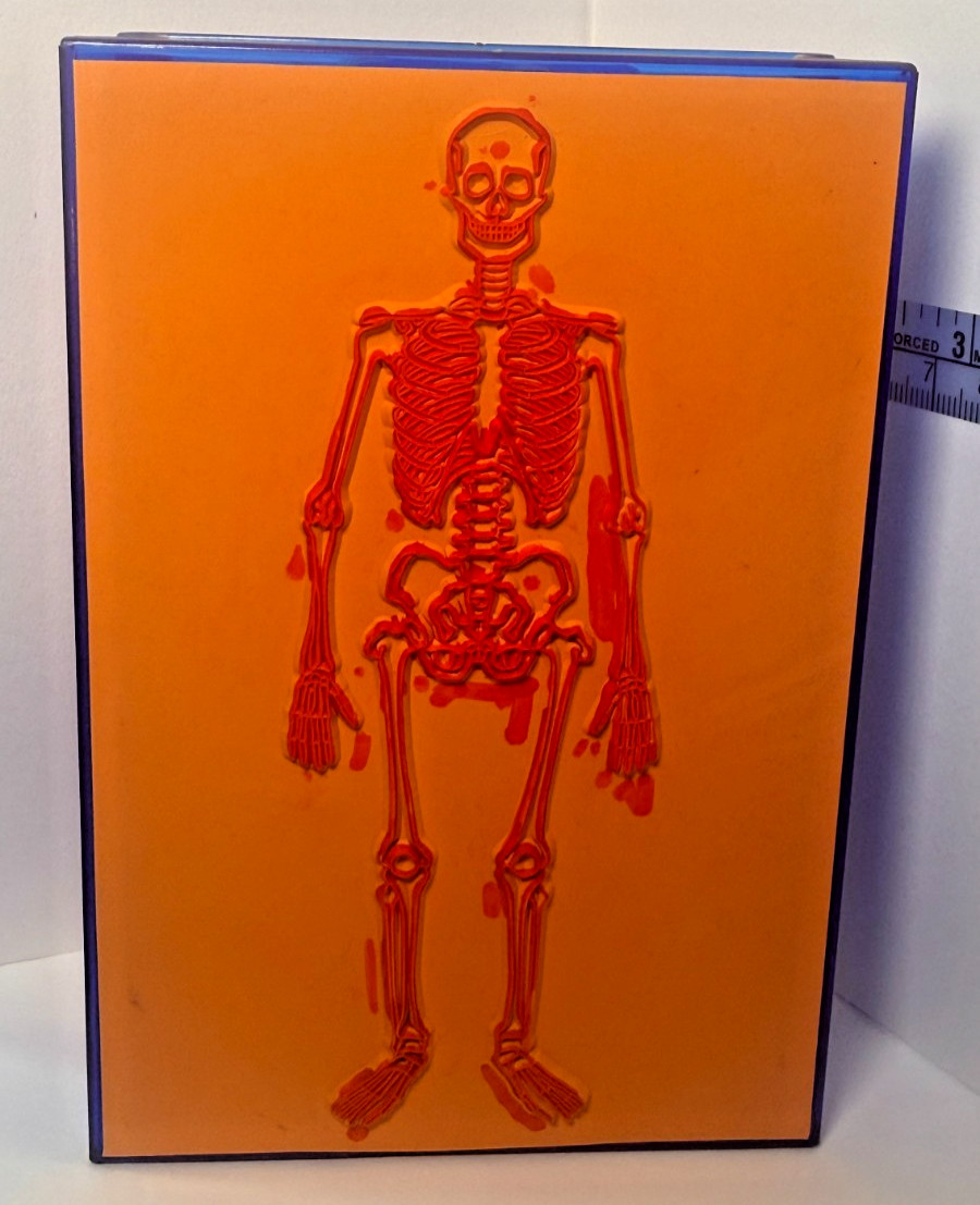 Learning Resources Skeleton Stamp Science Anatomy Classroom Homeschool