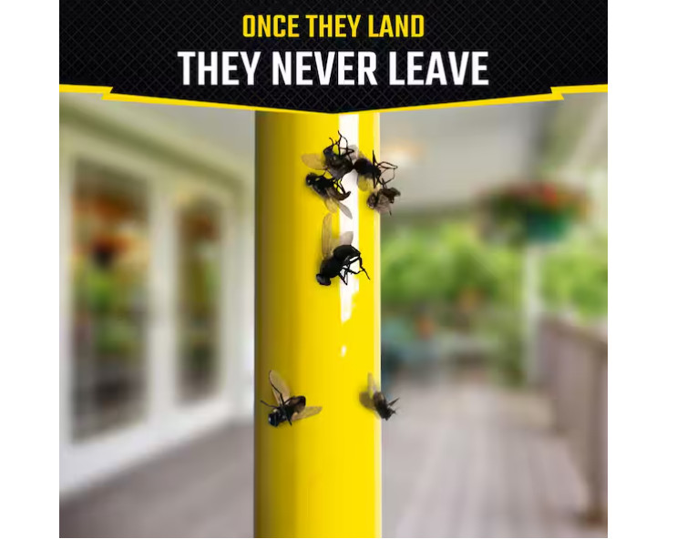 PACK OF 3 Fly Stick Insect Trap