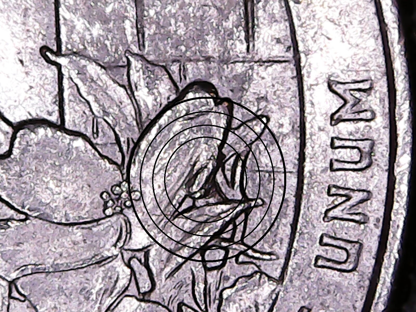 2015 P Blue Ridge Parkway ATB Quarter Die Chip Error.
