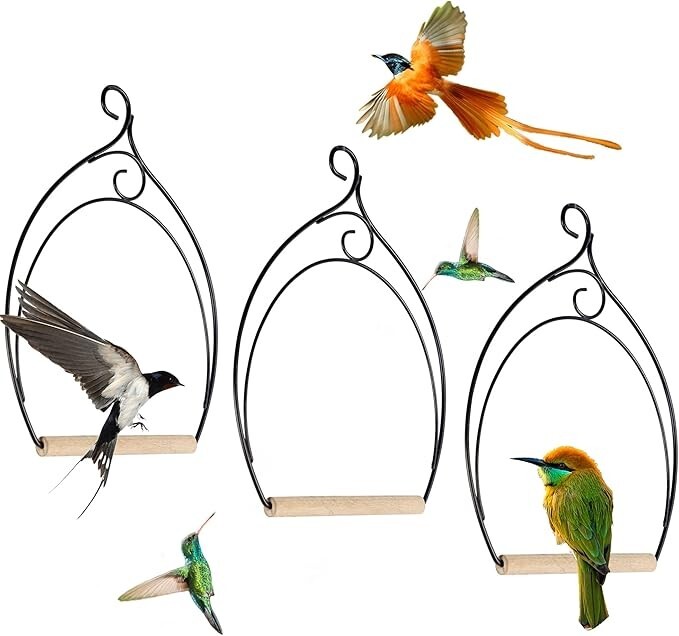 Juego de 3 columpios para colibríes, estructura de metal resistente a la. neuvo.